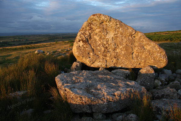 Arthur's Stone, Gower