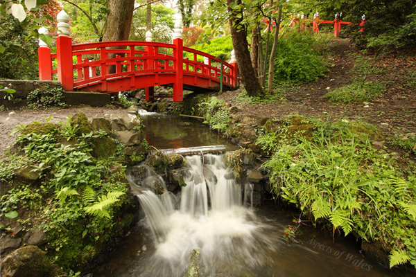 Japanese Bridge, Clyne Gardens, Swansea