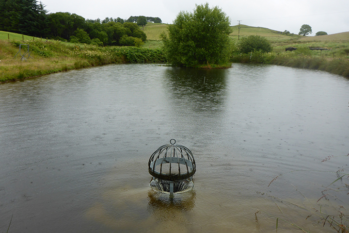 Grille on Frongoch Millpond outlet