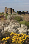 Pennard Castle, Great Tor, Gower