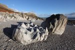 Limestone sea sculptures, Rhossili