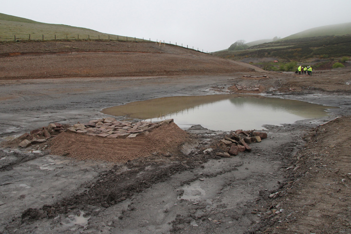 Frongoch Mine, Ceredigion